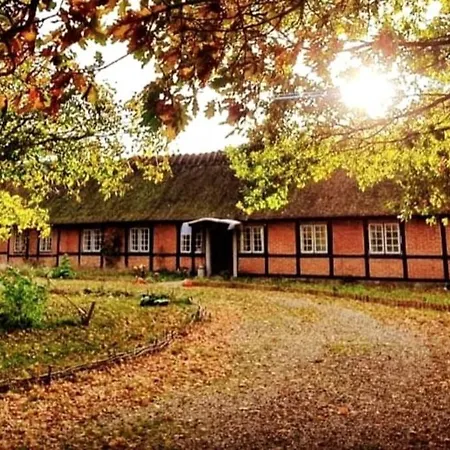公寓 Alter Priesterhof - Idyllische Ferienhausvermietung 尼卡宾·法尔斯特